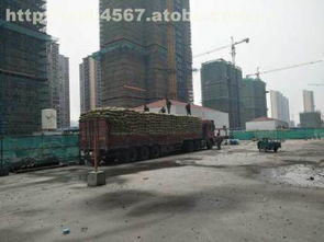 頁(yè)巖產(chǎn)品熱賣促銷 淮南市金瑞新型建筑材料廠供應(yīng)商信息與價(jià)格解析