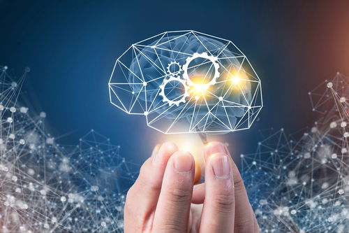 人工智能中的數(shù)據(jù)安全 釋放AI力量的關(guān)鍵與基礎(chǔ)軟件開發(fā)路徑